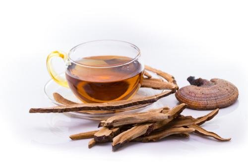 Temple Magic Mushroom Tea Bags - Image 11