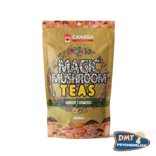 Canada Mushrooms Shroom Tea | 1000MG | Ginger Turmeric