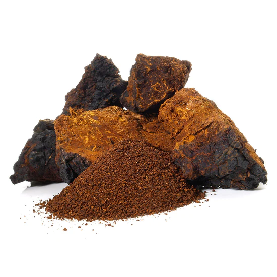 Stay Wyld Organics – Chaga Mushroom Capsules (Bottle of 60) - Image 2